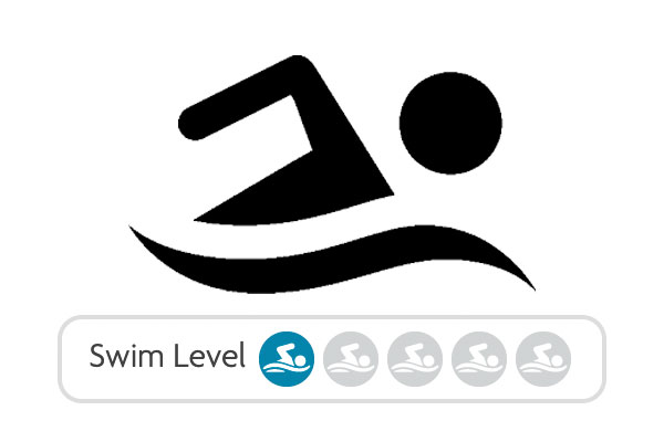 Swim Level 1