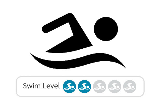 Swim Level 2