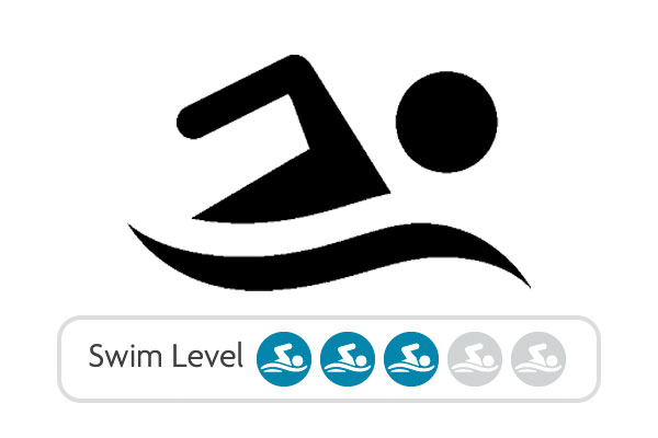 Swim Level 3