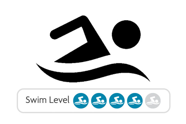 Swim Level 4
