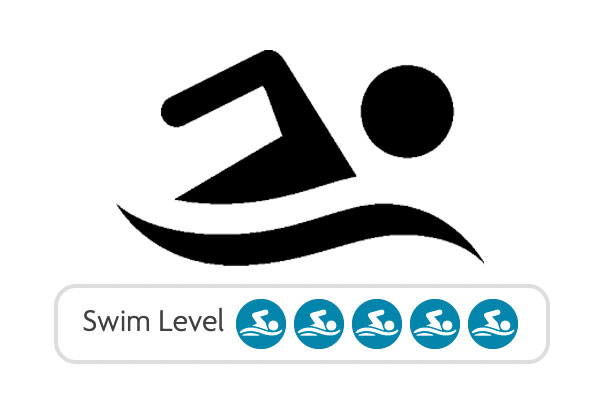 Swim Level 5